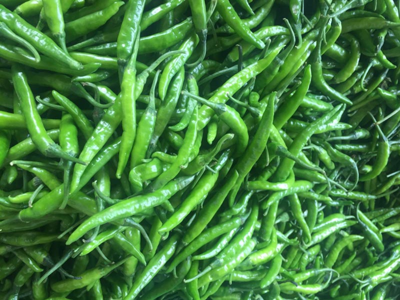 FRESH GREEN CHILLY EXPORTER FRESH GREEN CHILLY EXPORTER